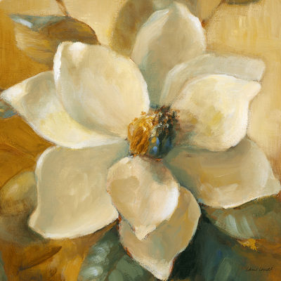 Image Not Available